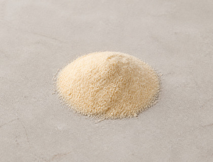 Garlic powder