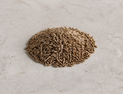 Cumin