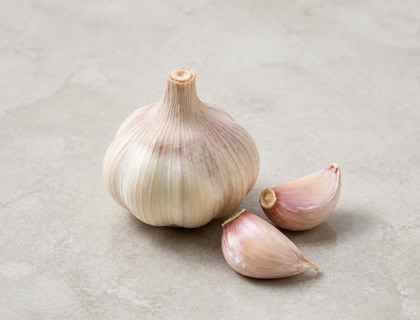 Garlic