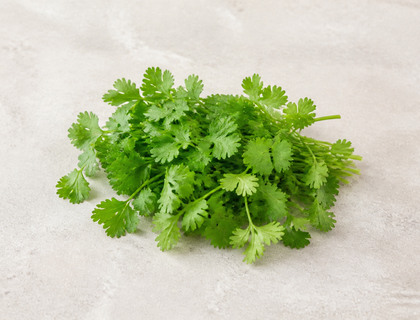 Fresh Cilantro