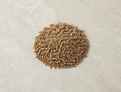 Cumin seeds